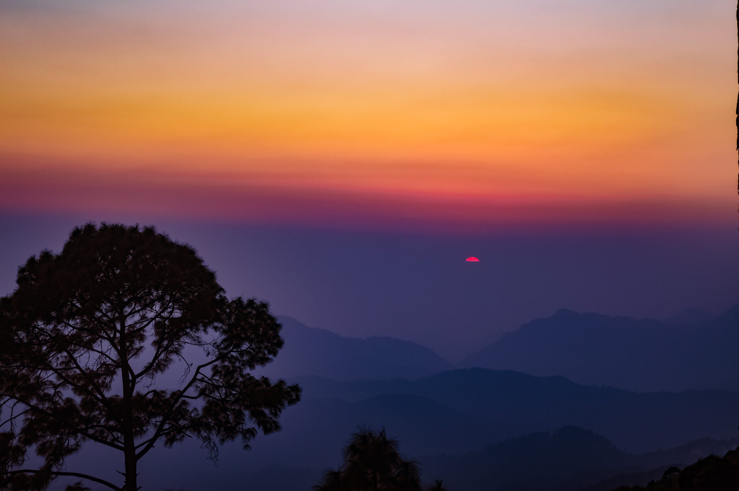 pexels-vikash-nagity-16871285